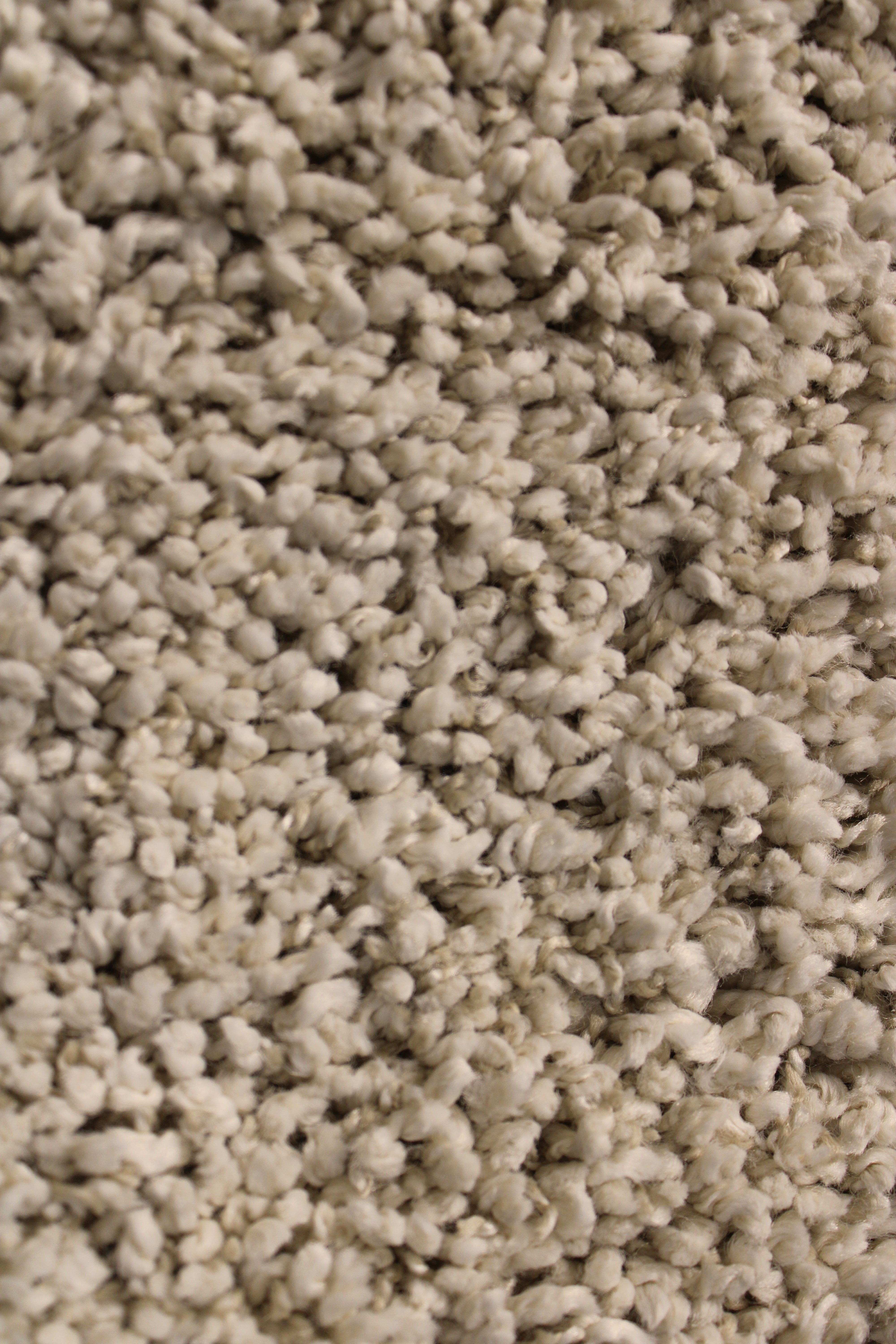 Soft Taupe Shag Rug 